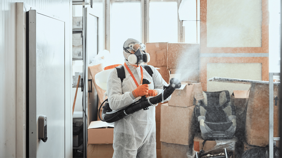 Hoarding Cleanup Indianapolis